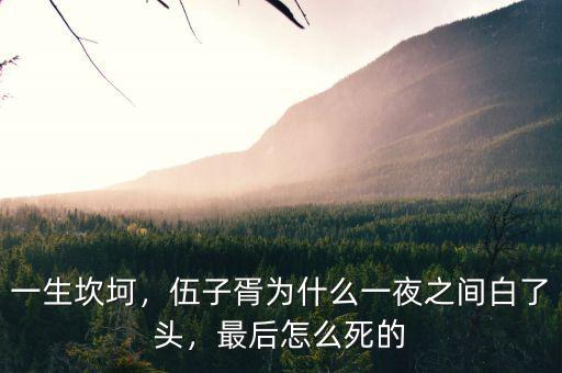 一生坎坷，伍子胥為什么一夜之間白了頭，最后怎么死的