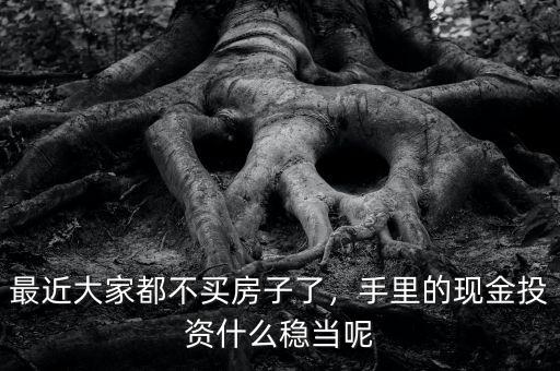 最近大家都不買房子了，手里的現(xiàn)金投資什么穩(wěn)當(dāng)呢