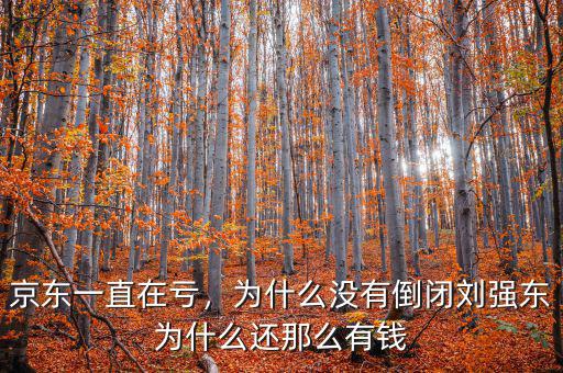 京東一直在虧，為什么沒有倒閉劉強(qiáng)東為什么還那么有錢