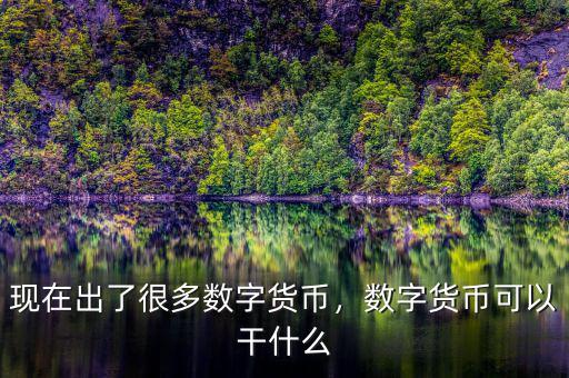 現(xiàn)在出了很多數(shù)字貨幣，數(shù)字貨幣可以干什么