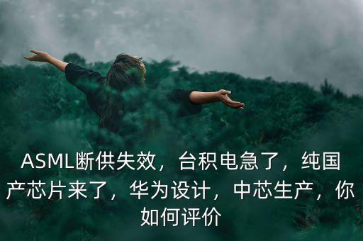 ASML斷供失效，臺積電急了，純國產(chǎn)芯片來了，華為設(shè)計，中芯生產(chǎn)，你如何評價