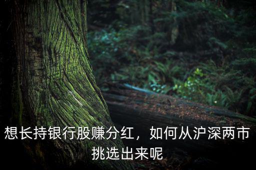 想長持銀行股賺分紅，如何從滬深兩市挑選出來呢