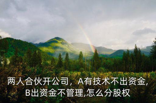 兩人合伙開(kāi)公司，A有技術(shù)不出資金,B出資金不管理,怎么分股權(quán)