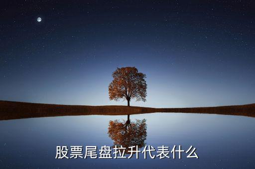 股票尾盤(pán)拉升代表什么