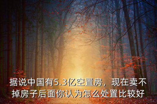 據(jù)說中國有5.3億空置房，現(xiàn)在賣不掉房子后面你認為怎么處置比較好