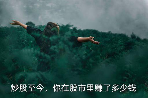 炒股至今，你在股市里賺了多少錢