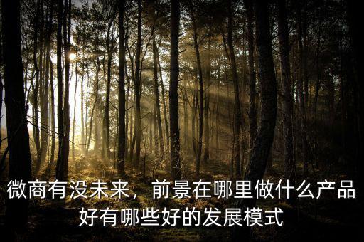 微商有沒未來，前景在哪里做什么產(chǎn)品好有哪些好的發(fā)展模式