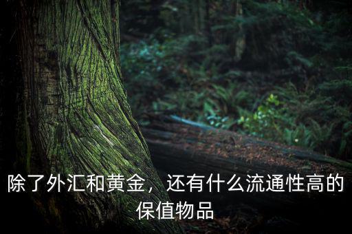 除了外匯和黃金，還有什么流通性高的保值物品