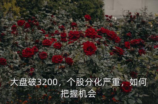 大盤破3200，個(gè)股分化嚴(yán)重，如何把握機(jī)會(huì)