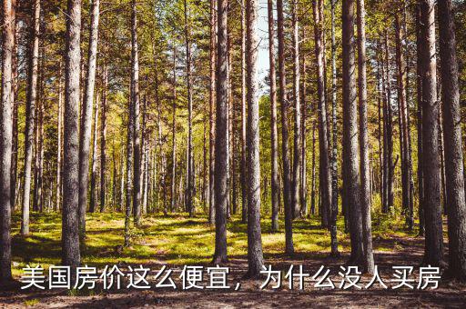 美國(guó)房?jī)r(jià)這么便宜，為什么沒(méi)人買(mǎi)房