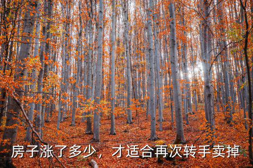 房子漲了多少，才適合再次轉(zhuǎn)手賣掉
