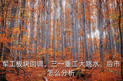 軍工板塊回調(diào)，三一重工大跳水，后市怎么分析