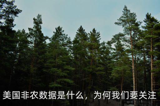 美國非農數(shù)據(jù)是什么，為何我們要關注