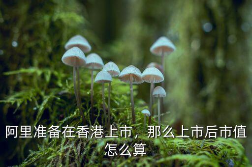 阿里準備在香港上市，那么上市后市值怎么算