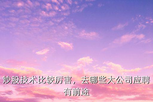 炒股技術(shù)比較厲害，去哪些大公司應(yīng)聘有前途