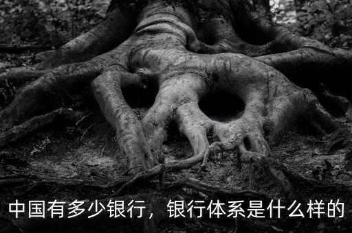 中國有多少銀行，銀行體系是什么樣的