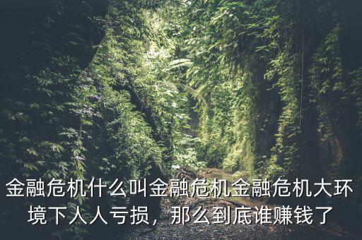 金融危機什么叫金融危機金融危機大環(huán)境下人人虧損，那么到底誰賺錢了