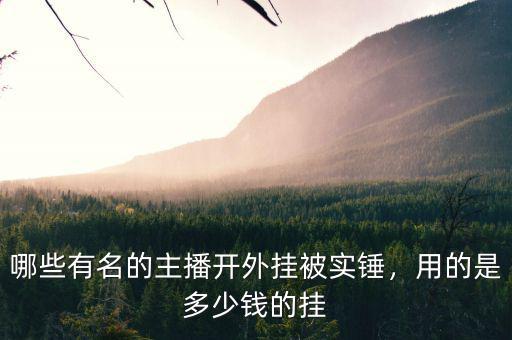 哪些有名的主播開外掛被實錘，用的是多少錢的掛