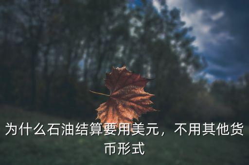 為什么石油結(jié)算要用美元，不用其他貨幣形式