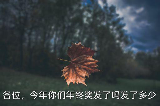 各位，今年你們年終獎(jiǎng)發(fā)了嗎發(fā)了多少