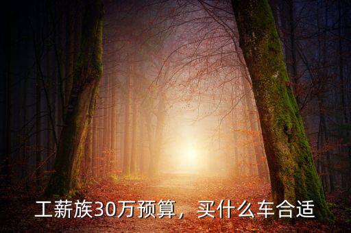 工薪族30萬預(yù)算，買什么車合適