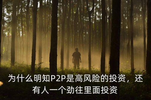 為什么明知P2P是高風險的投資，還有人一個勁往里面投資