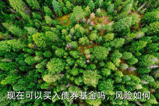 現(xiàn)在可以買入債券基金嗎，風(fēng)險如何