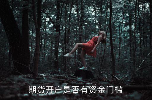 期貨開(kāi)戶(hù)是否有資金門(mén)檻