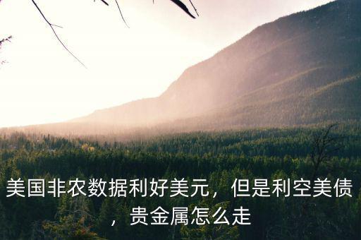 美國(guó)非農(nóng)數(shù)據(jù)利好美元，但是利空美債，貴金屬怎么走