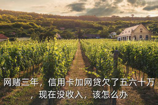 網(wǎng)賭三年，信用卡加網(wǎng)貸欠了五六十萬，現(xiàn)在沒收入，該怎么辦