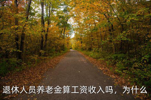退休人員養(yǎng)老金算工資收入嗎，為什么
