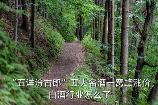“五洋汾古郎”五大名酒一窩蜂漲價，白酒行業(yè)怎么了