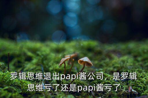羅輯思維退出papi醬公司，是羅輯思維虧了還是papi醬虧了