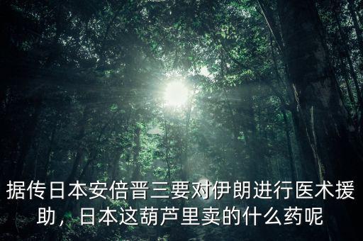 據(jù)傳日本安倍晉三要對伊朗進(jìn)行醫(yī)術(shù)援助，日本這葫蘆里賣的什么藥呢