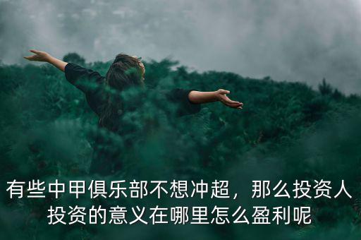 有些中甲俱樂部不想沖超，那么投資人投資的意義在哪里怎么盈利呢