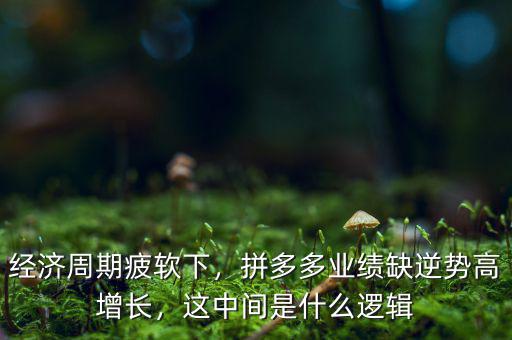 經(jīng)濟(jì)周期疲軟下，拼多多業(yè)績?nèi)蹦鎰莞咴鲩L，這中間是什么邏輯