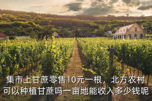 集市上甘蔗零售10元一根，北方農(nóng)村可以種植甘蔗嗎一畝地能收入多少錢(qián)呢