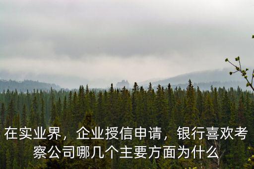 在實業(yè)界，企業(yè)授信申請，銀行喜歡考察公司哪幾個主要方面為什么