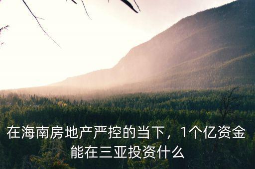 在海南房地產(chǎn)嚴(yán)控的當(dāng)下，1個(gè)億資金能在三亞投資什么