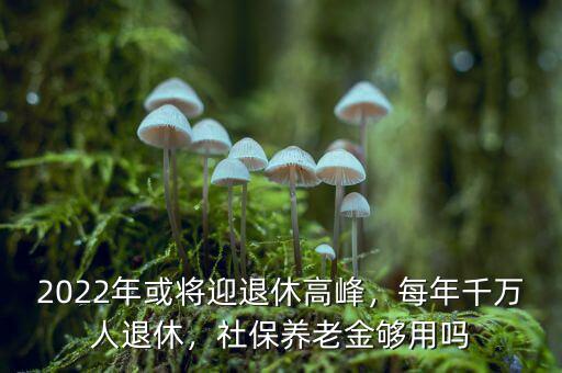 2022年或?qū)⒂诵莞叻?，每年千萬人退休，社保養(yǎng)老金夠用嗎