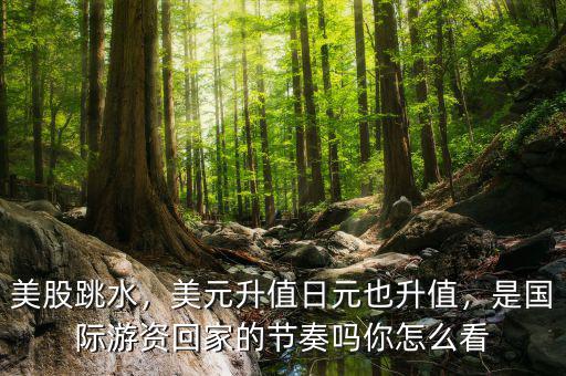 美股跳水，美元升值日元也升值，是國(guó)際游資回家的節(jié)奏嗎你怎么看