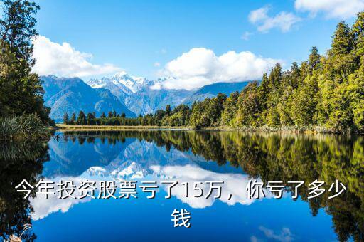 今年投資股票虧了15萬，你虧了多少錢