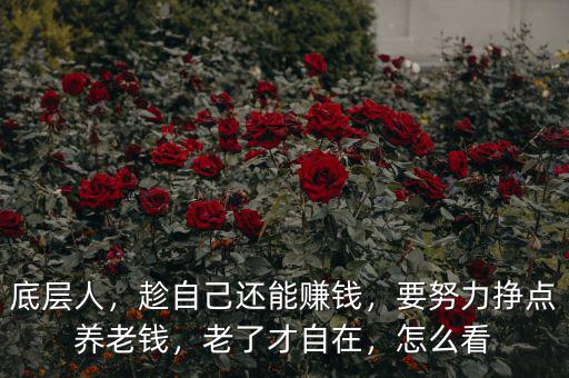 底層人，趁自己還能賺錢，要努力掙點(diǎn)養(yǎng)老錢，老了才自在，怎么看