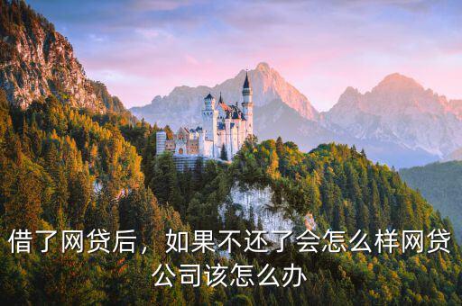 借了網(wǎng)貸后，如果不還了會怎么樣網(wǎng)貸公司該怎么辦