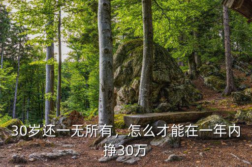 30歲還一無所有，怎么才能在一年內(nèi)掙30萬