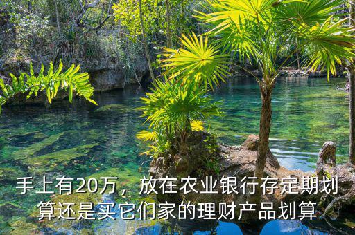 手上有20萬，放在農(nóng)業(yè)銀行存定期劃算還是買它們家的理財產(chǎn)品劃算