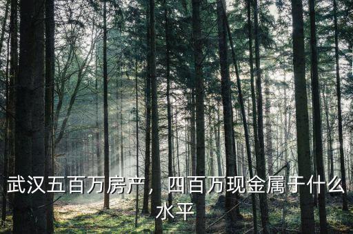 武漢五百萬(wàn)房產(chǎn)，四百萬(wàn)現(xiàn)金屬于什么水平