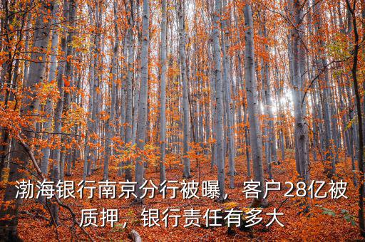 渤海銀行南京分行被曝，客戶28億被質押，銀行責任有多大