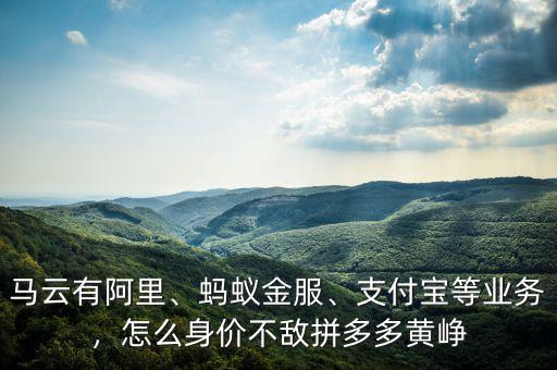 馬云有阿里、螞蟻金服、支付寶等業(yè)務，怎么身價不敵拼多多黃崢