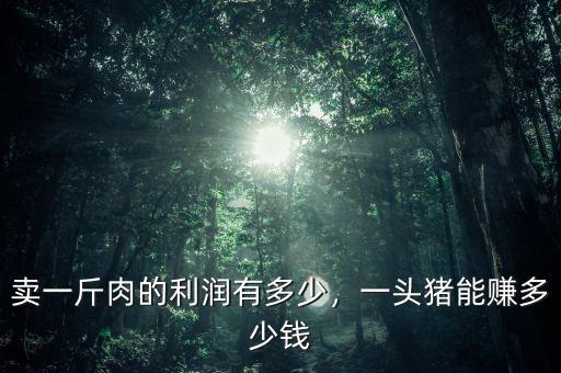 賣(mài)一斤肉的利潤(rùn)有多少，一頭豬能賺多少錢(qián)